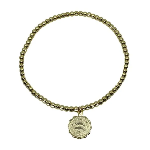 Zodiac Bracelets: Capricorn to Pisces: BG4___